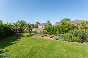 Garden- click for photo gallery